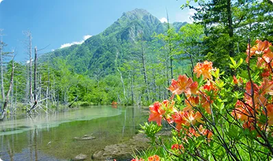 写真：岳沢湿原